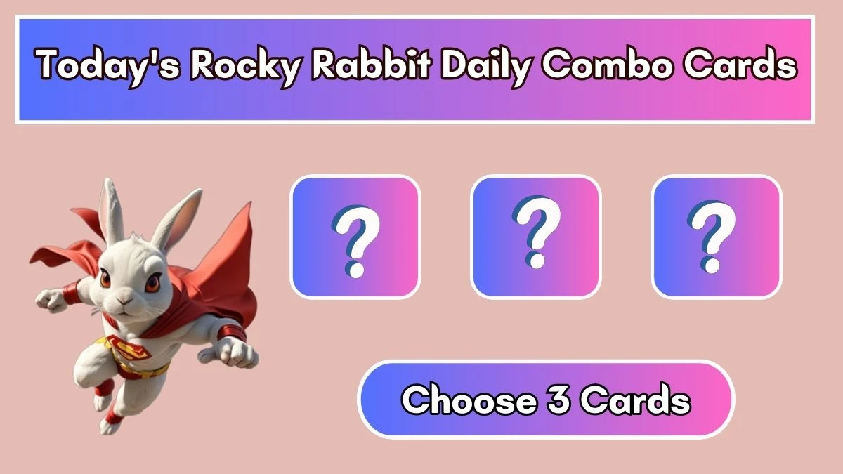 Today's Rocky Rabbit Daily Combo Cards August 07 2024