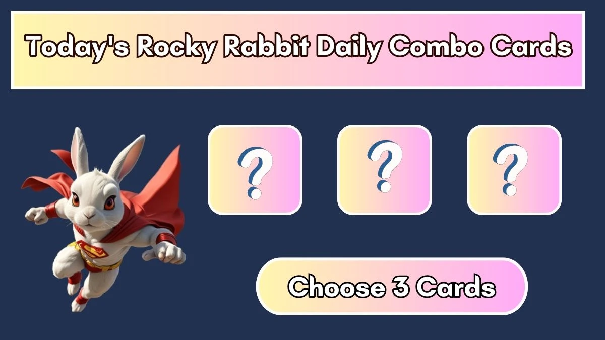 Today's Rocky Rabbit Daily Combo Cards August 08 2024