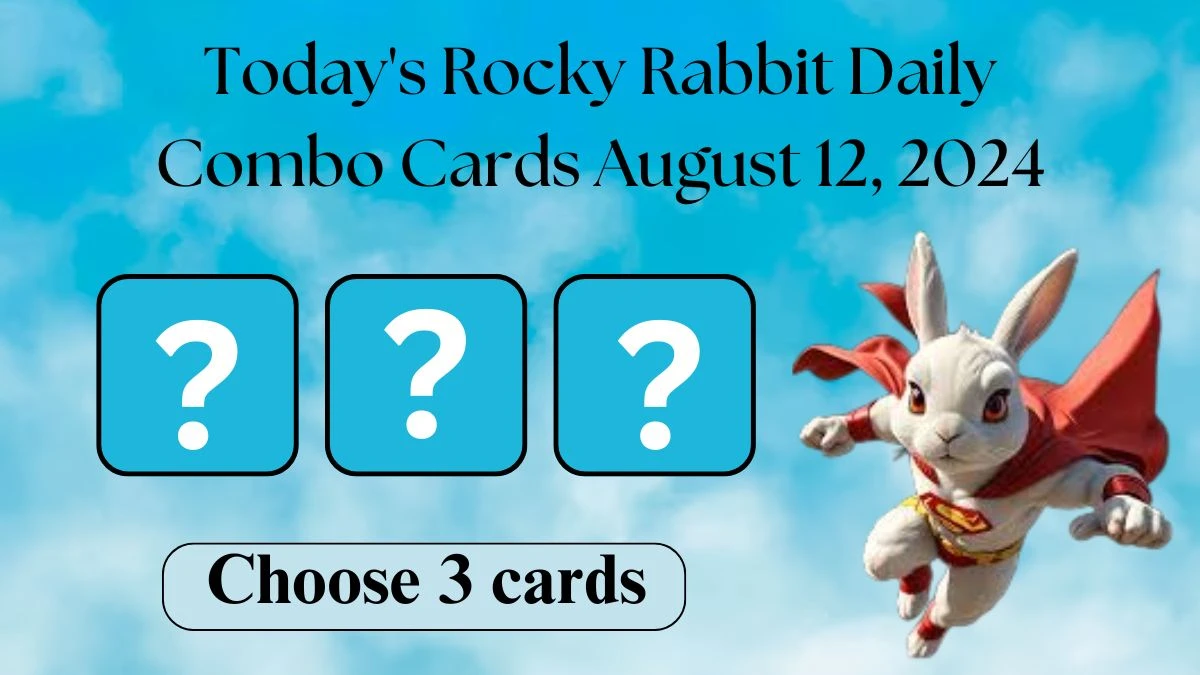 Today's Rocky Rabbit Daily Combo Cards August 12, 2024