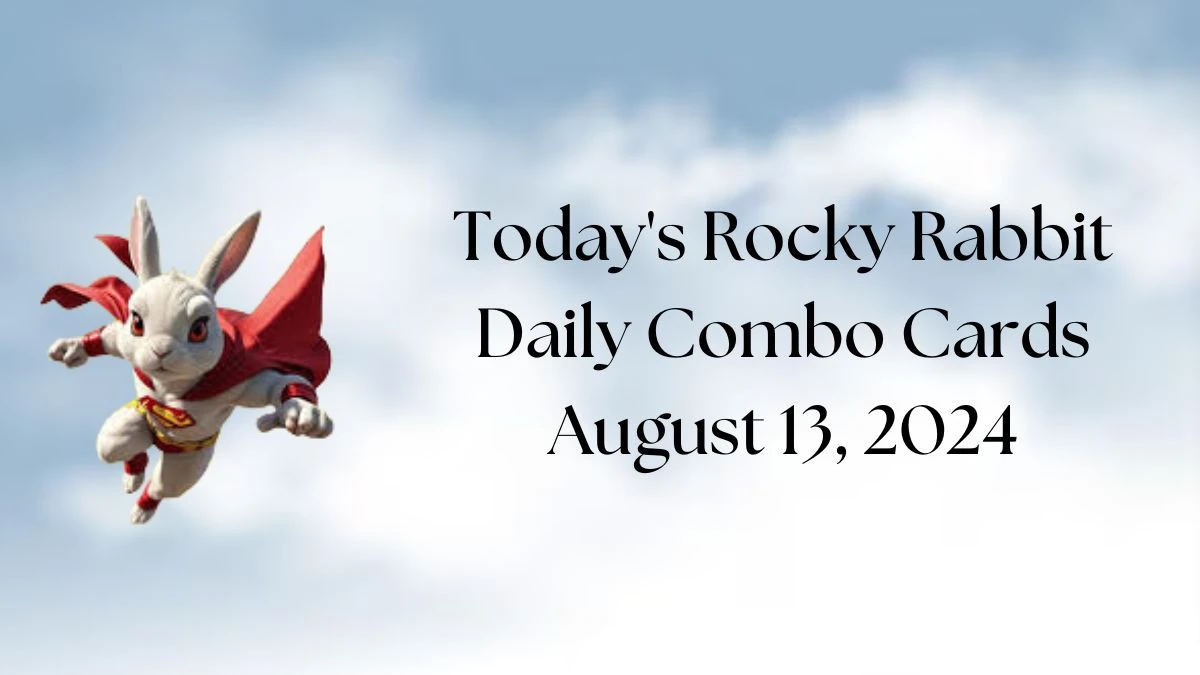 Today's Rocky Rabbit Daily Combo Cards August 13, 2024