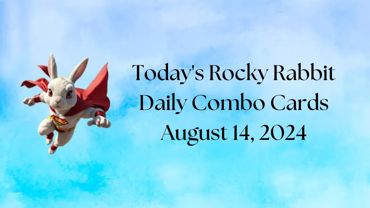 Today's Rocky Rabbit Daily Combo Cards August 14, 2024