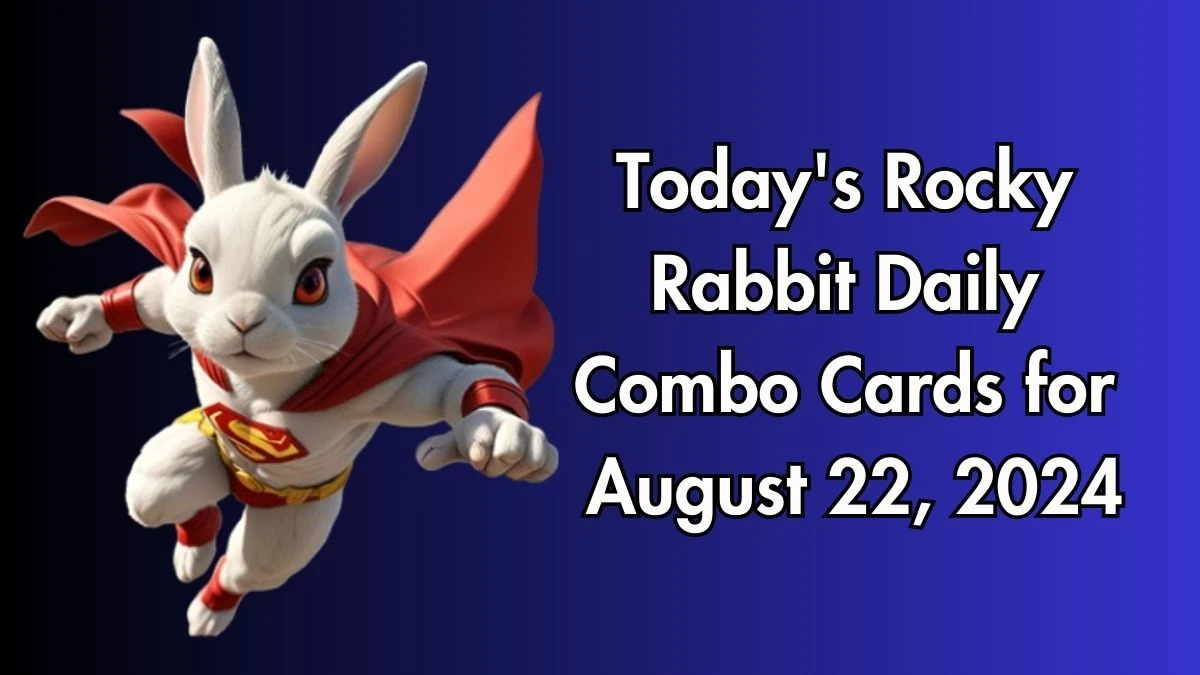 Today's Rocky Rabbit Daily Combo Cards August 22, 2024