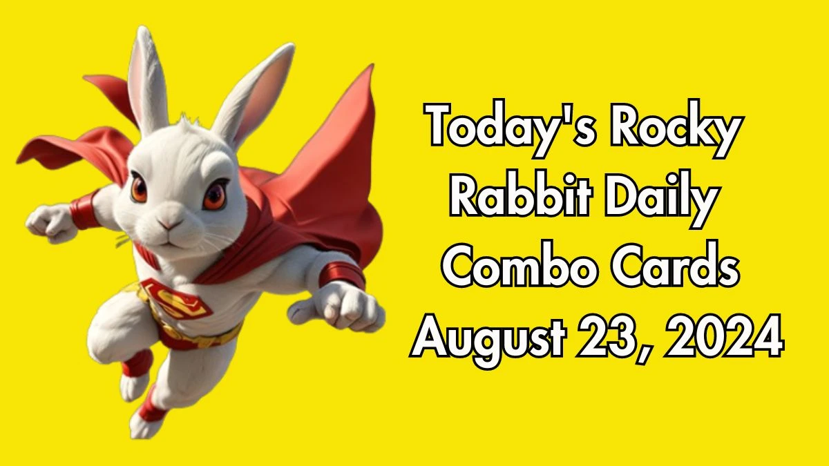 Today's Rocky Rabbit Daily Combo Cards August 23, 2024