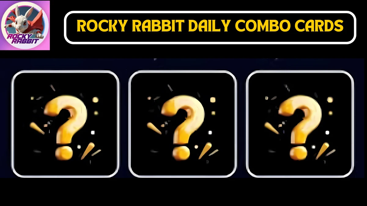 Today's Rocky Rabbit Daily Combo Cards August 26, 2024