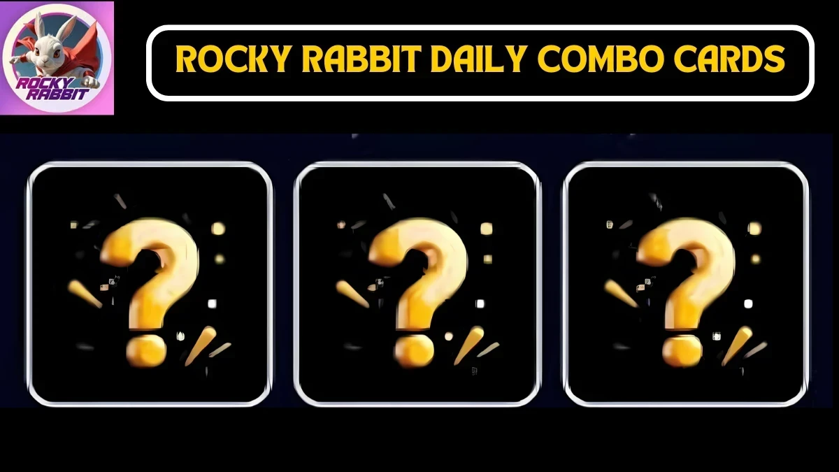 Today's Rocky Rabbit Daily Combo Cards August 30, 2024