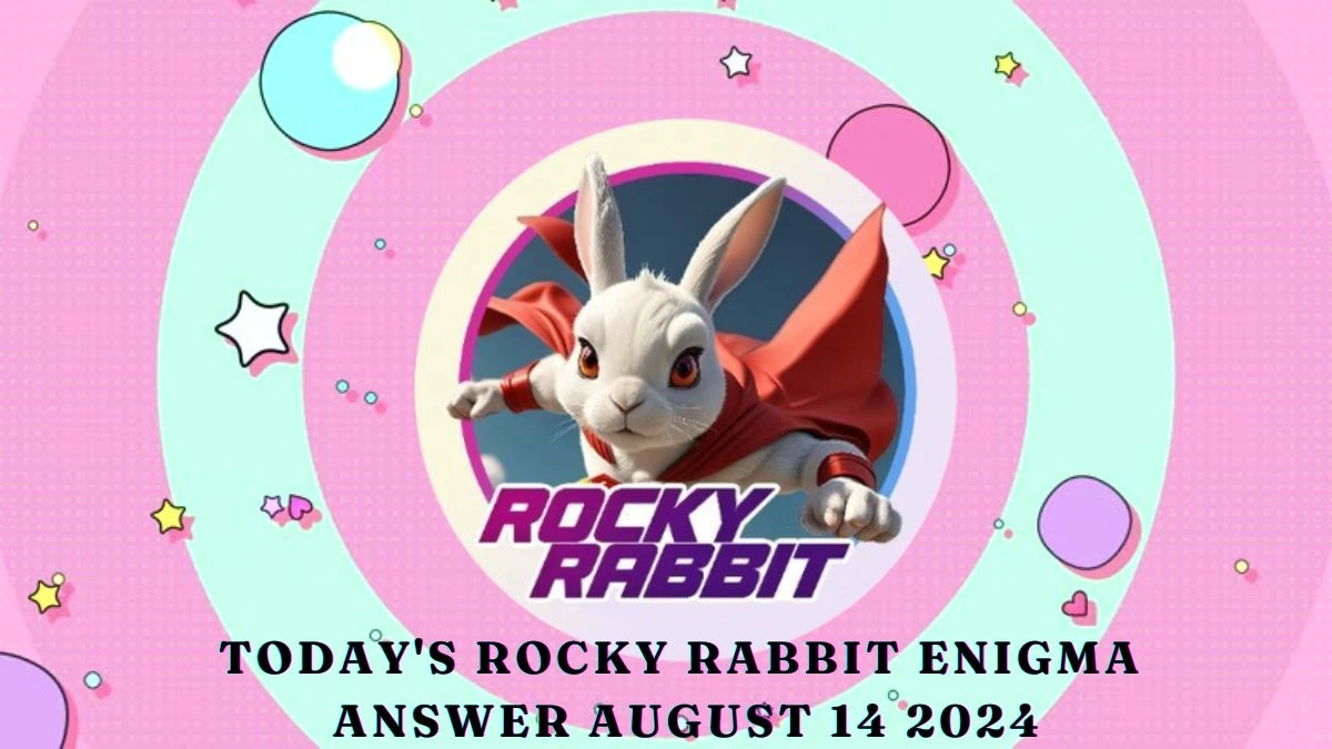 Today's Rocky Rabbit Enigma Answer August 14 2024 - Check the Mystery Words Here!