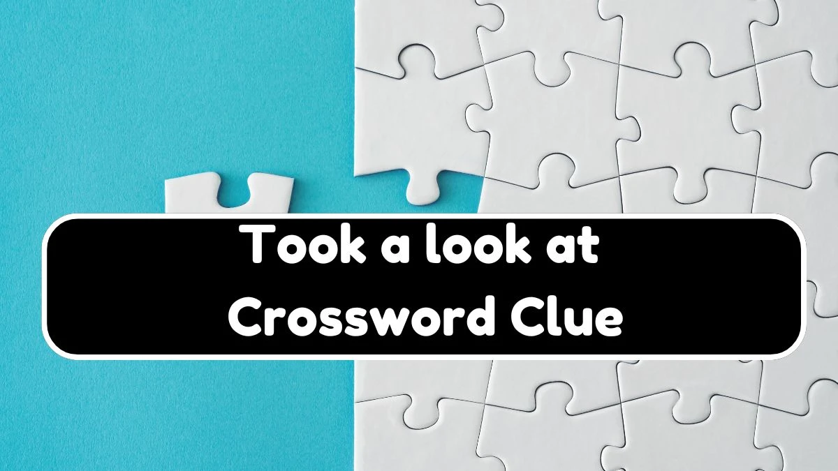 USA Today Took a look at Crossword Clue Puzzle Answer from August 08, 2024