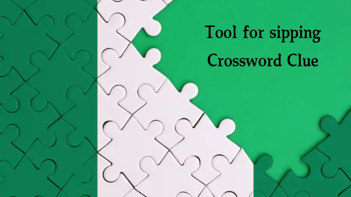 Tool for sipping Daily Commuter Crossword Clue Puzzle Answer from August 16, 2024