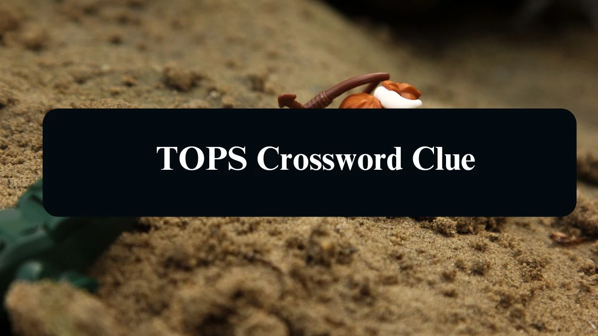 LA Times TOPS Crossword Clue Answers with 5 Letters from August 17, 2024