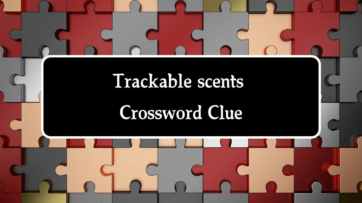 NYT Trackable scents Crossword Clue Puzzle Answer from August 14, 2024