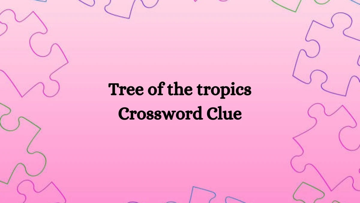 Tree of the tropics NYT Crossword Clue Puzzle Answer on August 05, 2024