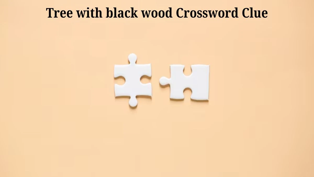 LA Times Tree with black wood Crossword Clue Puzzle Answer from August 05, 2024