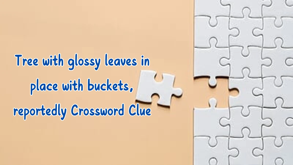 Tree with glossy leaves in place with buckets, reportedly Crossword Clue Puzzle Answer from August 09, 2024