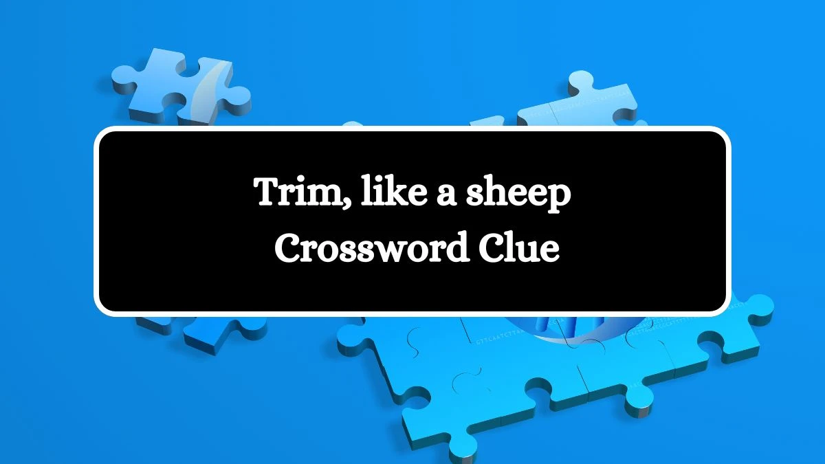 USA Today Trim, like a sheep Crossword Clue Puzzle Answer from August 06, 2024