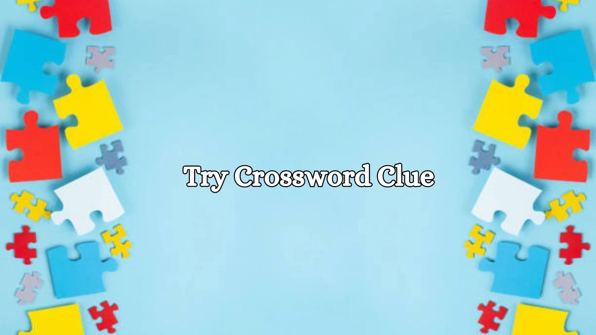 LA Times Try Crossword Clue Puzzle Answer from August 16, 2024