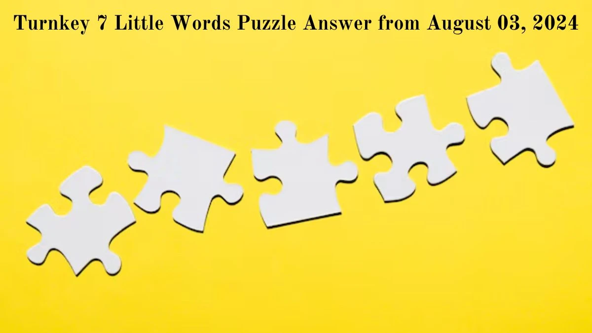 Turnkey 7 Little Words Puzzle Answer from August 03, 2024