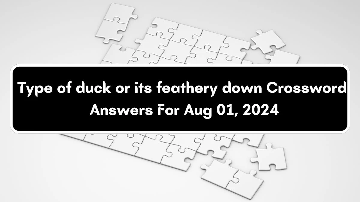 Type of duck or its feathery down Crossword Clue Puzzle Answer from August 01, 2024