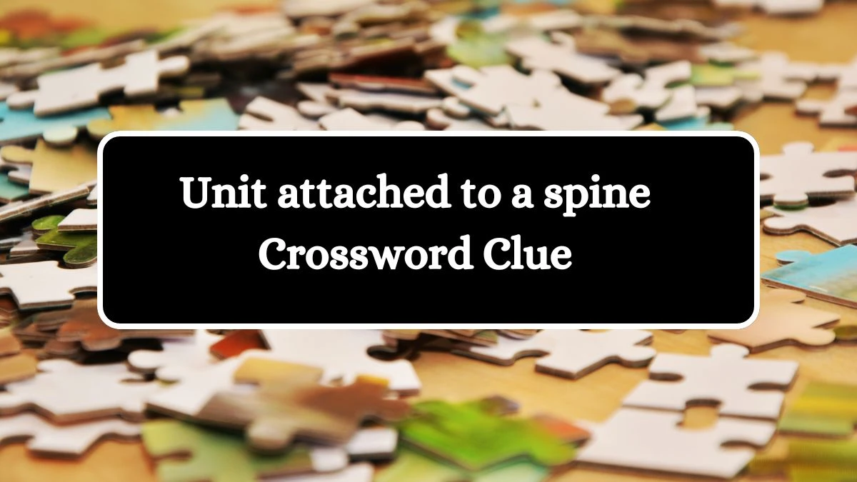 LA Times Unit attached to a spine Crossword Clue Answers with 4 Letters from August 17, 2024