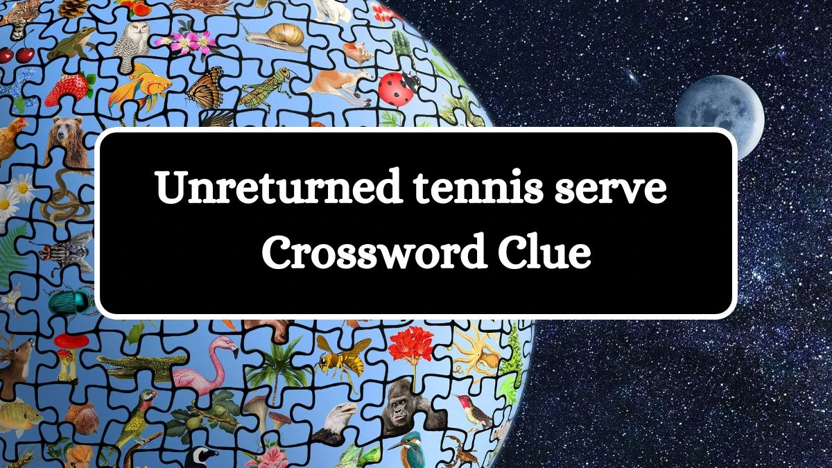 Unreturned tennis serve Daily Themed Crossword Clue Puzzle Answer from August 05, 2024