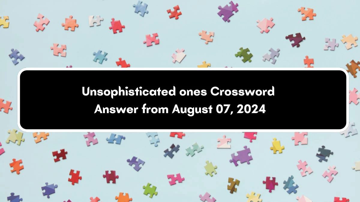 Daily Commuter Unsophisticated ones Crossword Clue Puzzle Answer from August 07, 2024