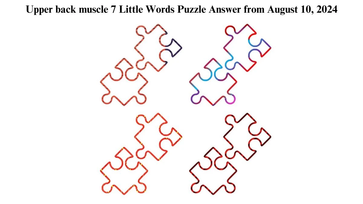 Upper back muscle 7 Little Words Puzzle Answer from August 10, 2024