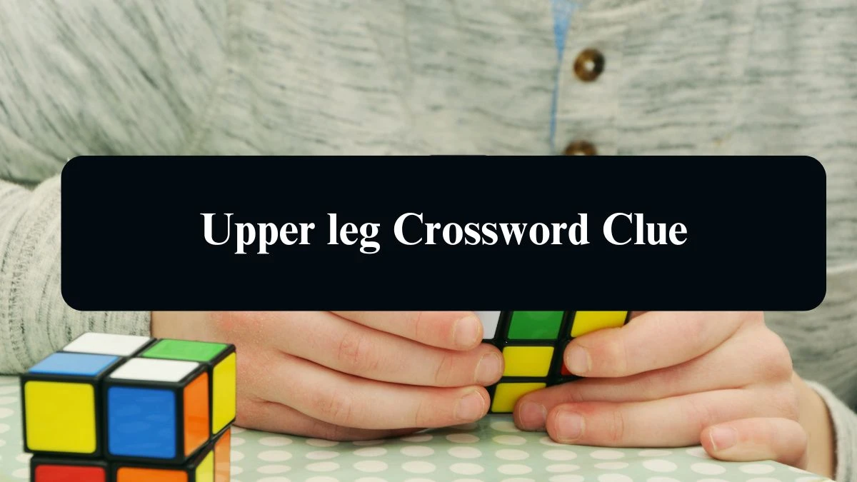 Upper leg Crossword Clue Puzzle Answer from August 13, 2024