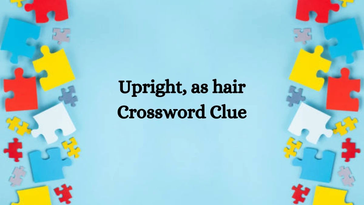 Upright, as hair NYT Crossword Clue Puzzle Answer from August 12, 2024