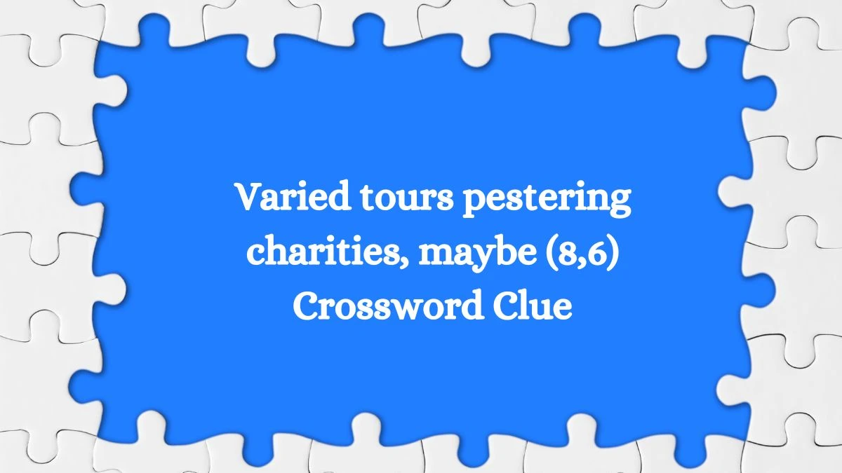 Varied tours pestering charities, maybe (8,6) Crossword Clue Puzzle Answer from August 06, 2024