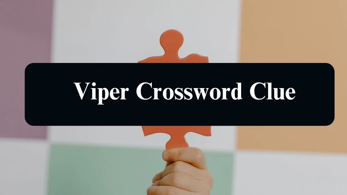 Irish Daily Mail Quick Viper 5 Letters Crossword Clue Puzzle Answers from August 15, 2024