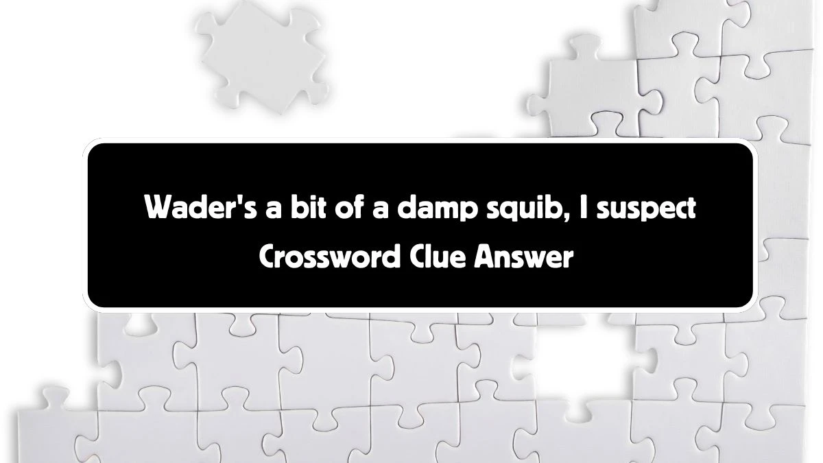 Wader's a bit of a damp squib, I suspect Crossword Clue Puzzle Answer from August 04, 2024