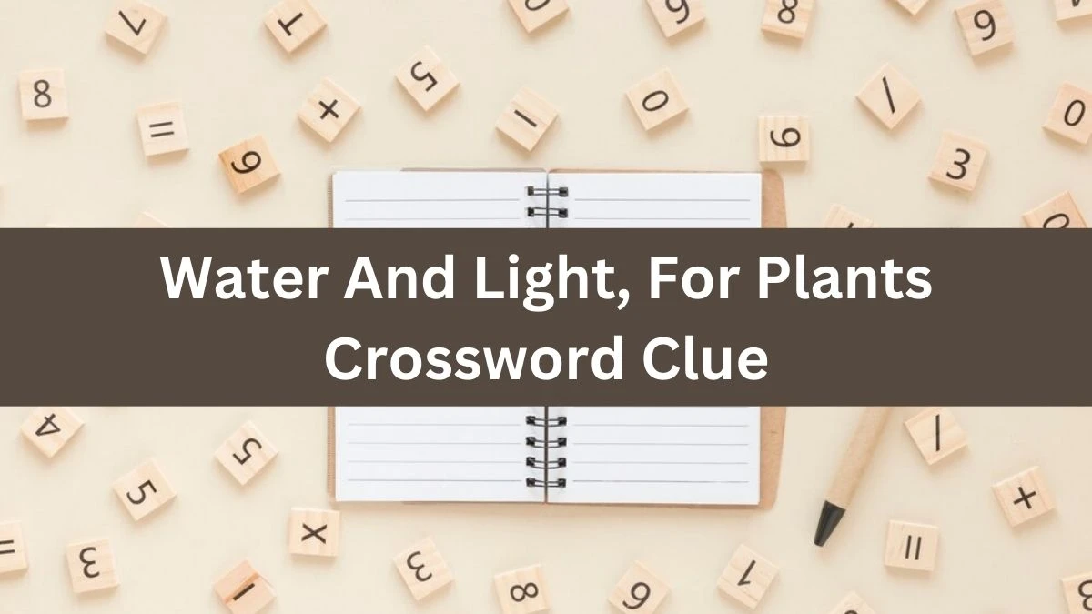 Water And Light, For Plants Crossword Clue Puzzle Answer from August 01, 2024