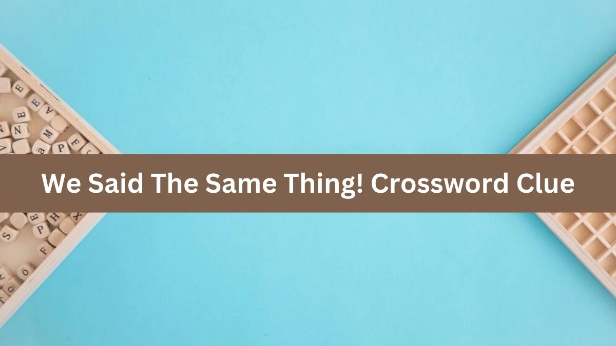 LA Times We Said The Same Thing! Crossword Clue Puzzle Answer from August 09, 2024