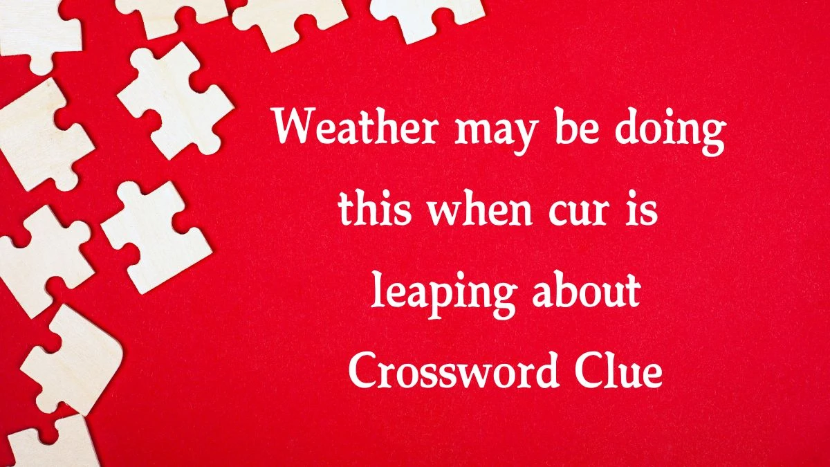 Weather may be doing this when cur is leaping about (8,2) Crossword Clue Puzzle Answer from August 08, 2024