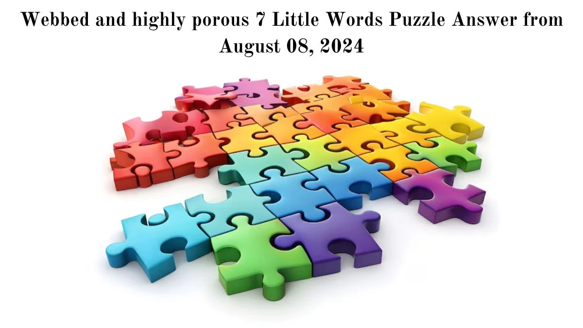 Webbed and highly porous 7 Little Words Puzzle Answer from August 08, 2024