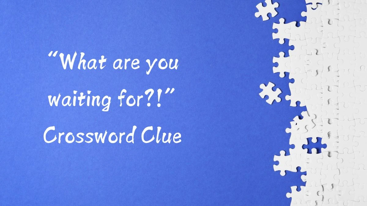 NYT “What are you waiting for?!” (6) Crossword Clue Puzzle Answer from August 12, 2024