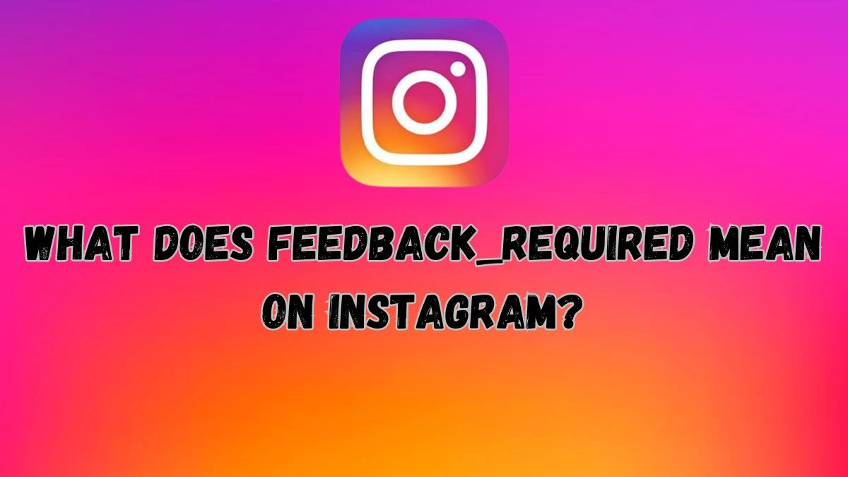 What Does Feedback_required Mean on Instagram? How to Fix Feedback Required on Instagram?