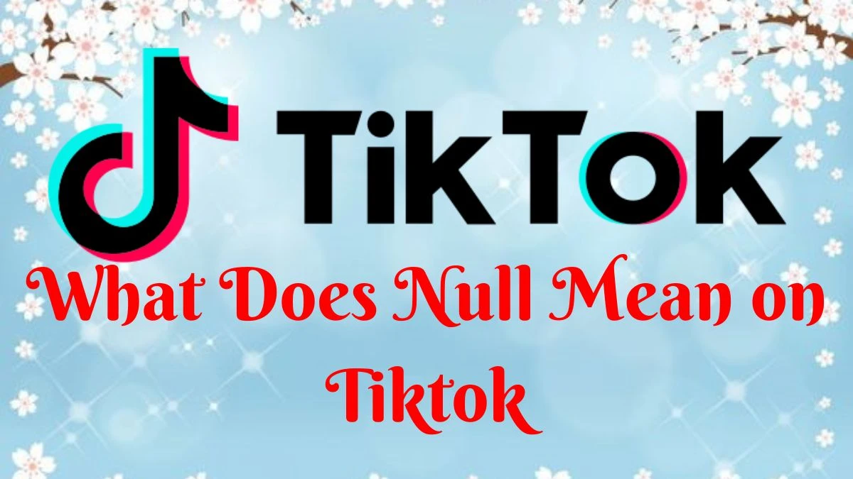 What Does Null Mean on Tiktok? Null Usage in TikTok