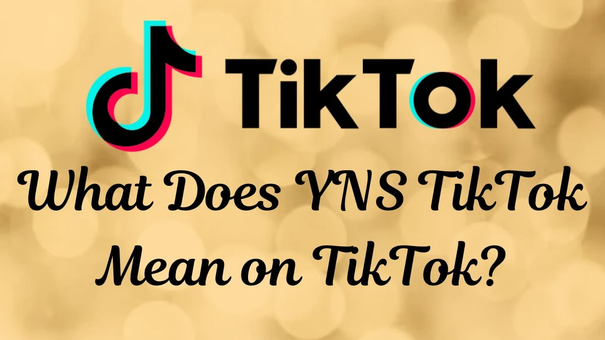 What Does YNS TikTok Mean on TikTok? How the Phrase is Used?