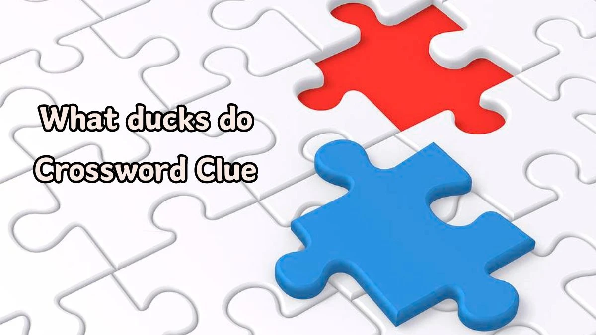 What ducks do Puzzle Page Crossword Clue Puzzle Answer from August 14, 2024