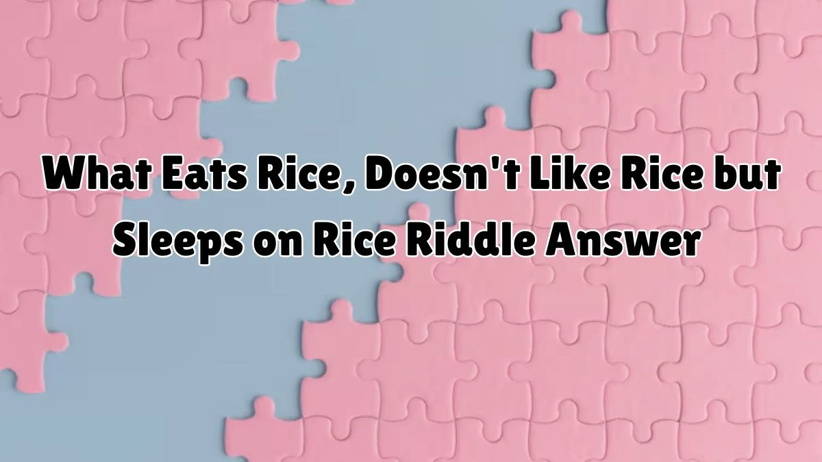 What Eats Rice, Doesn't Like Rice but Sleeps on Rice Riddle Answer