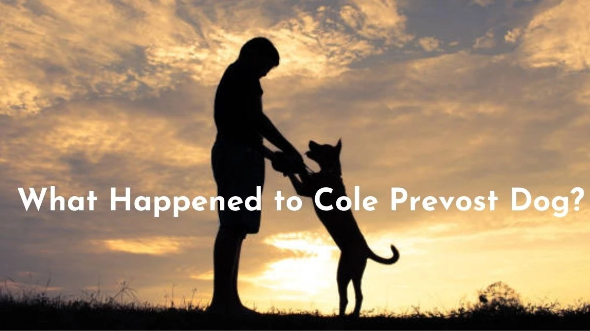 What Happened to Cole Prevost Dog? A Viral Sensational Video Reactions