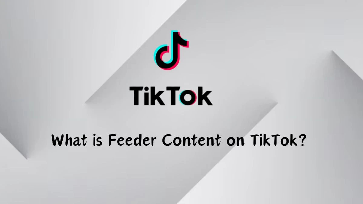 What is Feeder Content on TikTok? TikTokers Criticize Dangerous Feeder Trend