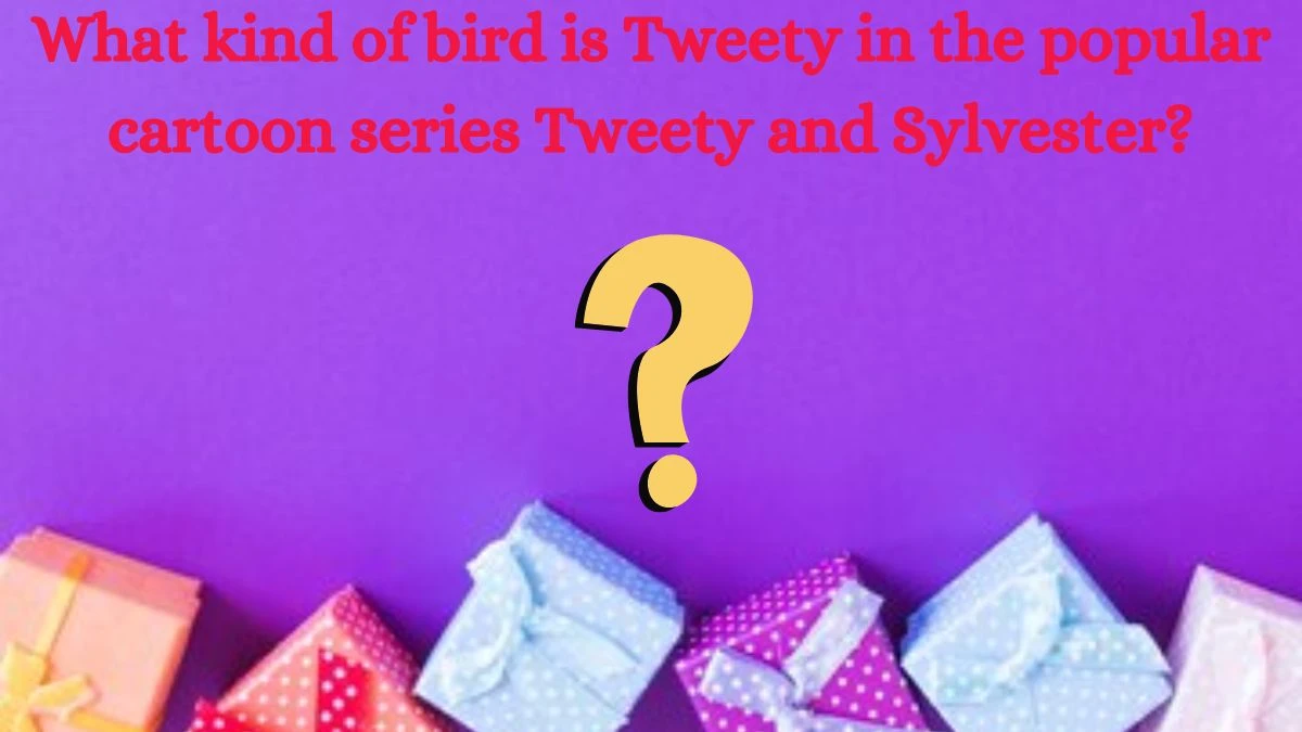 What kind of bird is Tweety in the popular cartoon series Tweety and Sylvester? Amazon Quiz Answer Today August 27, 2024