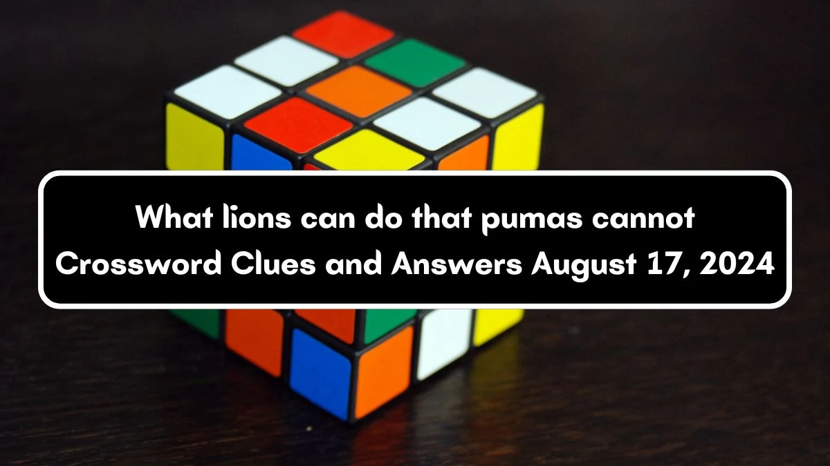 What lions can do that pumas cannot NYT Crossword Clue Puzzle Answer on August 17, 2024