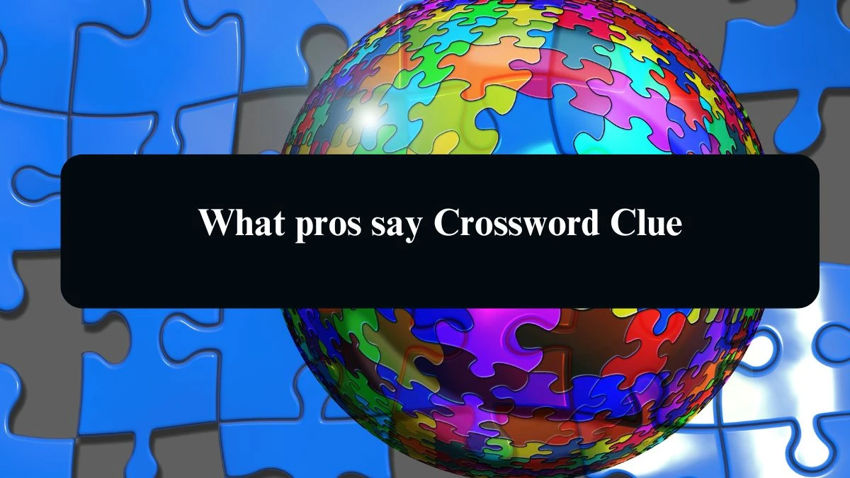 LA Times What pros say Crossword Clue Answers with 3 Letters from August 11, 2024