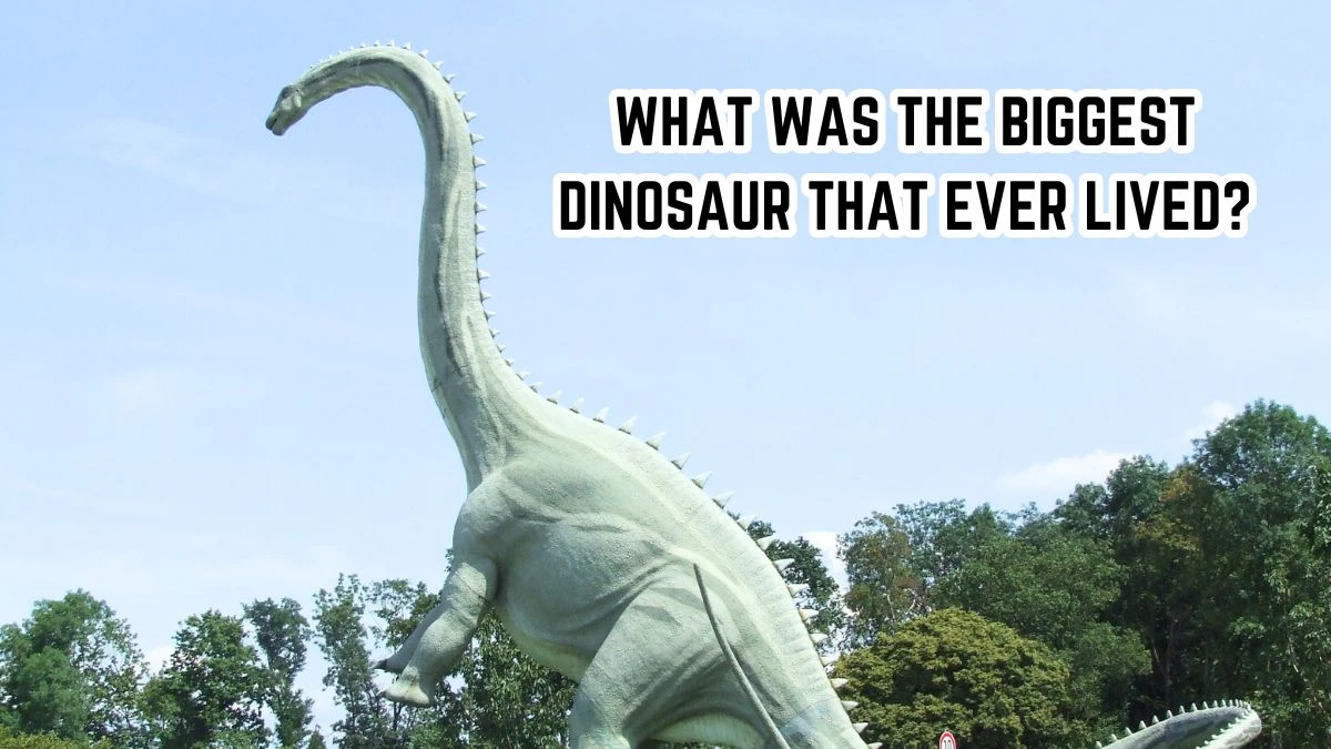 What was the Biggest Dinosaur That Ever Lived? Know Here