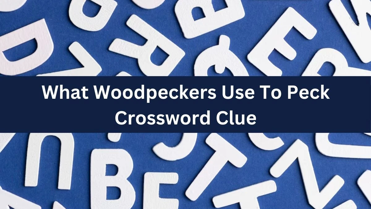 What Woodpeckers Use To Peck Universal Crossword Clue Puzzle Answer from August 03, 2024