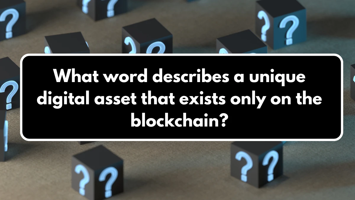 What word describes a unique digital asset that exists only on the blockchain? X Empire Riddle of the Day 13 August 2024