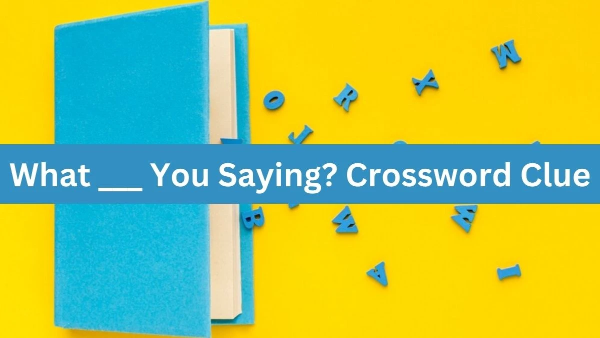 What ___ You Saying? Daily Commuter Crossword Clue Puzzle Answer from August 20, 2024