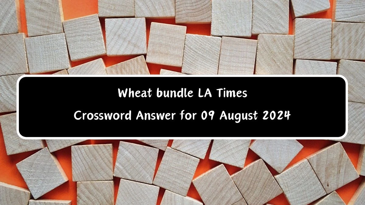 LA Times Wheat bundle Crossword Clue Puzzle Answer from August 09, 2024